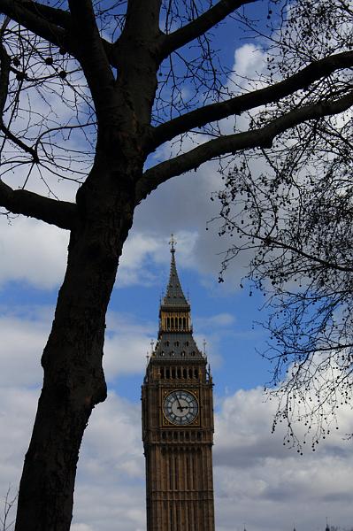 51-Westminster,4 aprile 2010.JPG